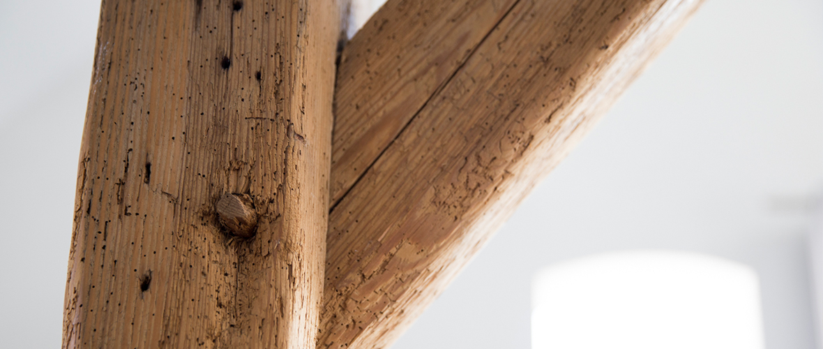 hoekdetail riet detail